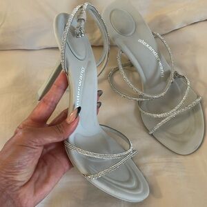 Alexander Wang with crystals